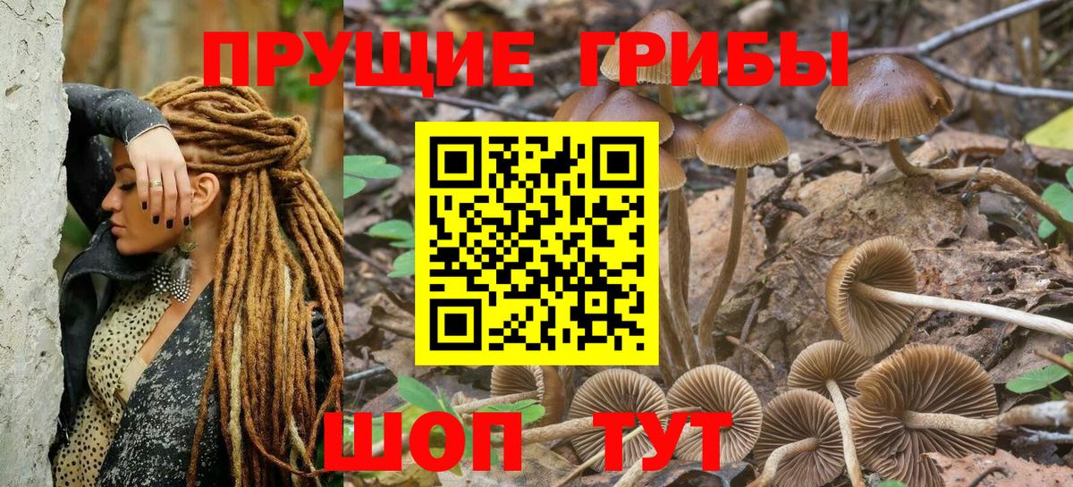 Галлюциногенные грибы GOLDEN TEACHER Буйнакск